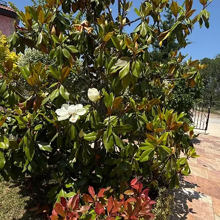 Angel's Sea Castle Apartment Sozopol