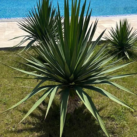 Angel's Sea Castle Sozopol