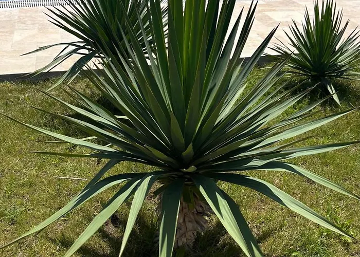 Angel's Sea Castle Sozopol